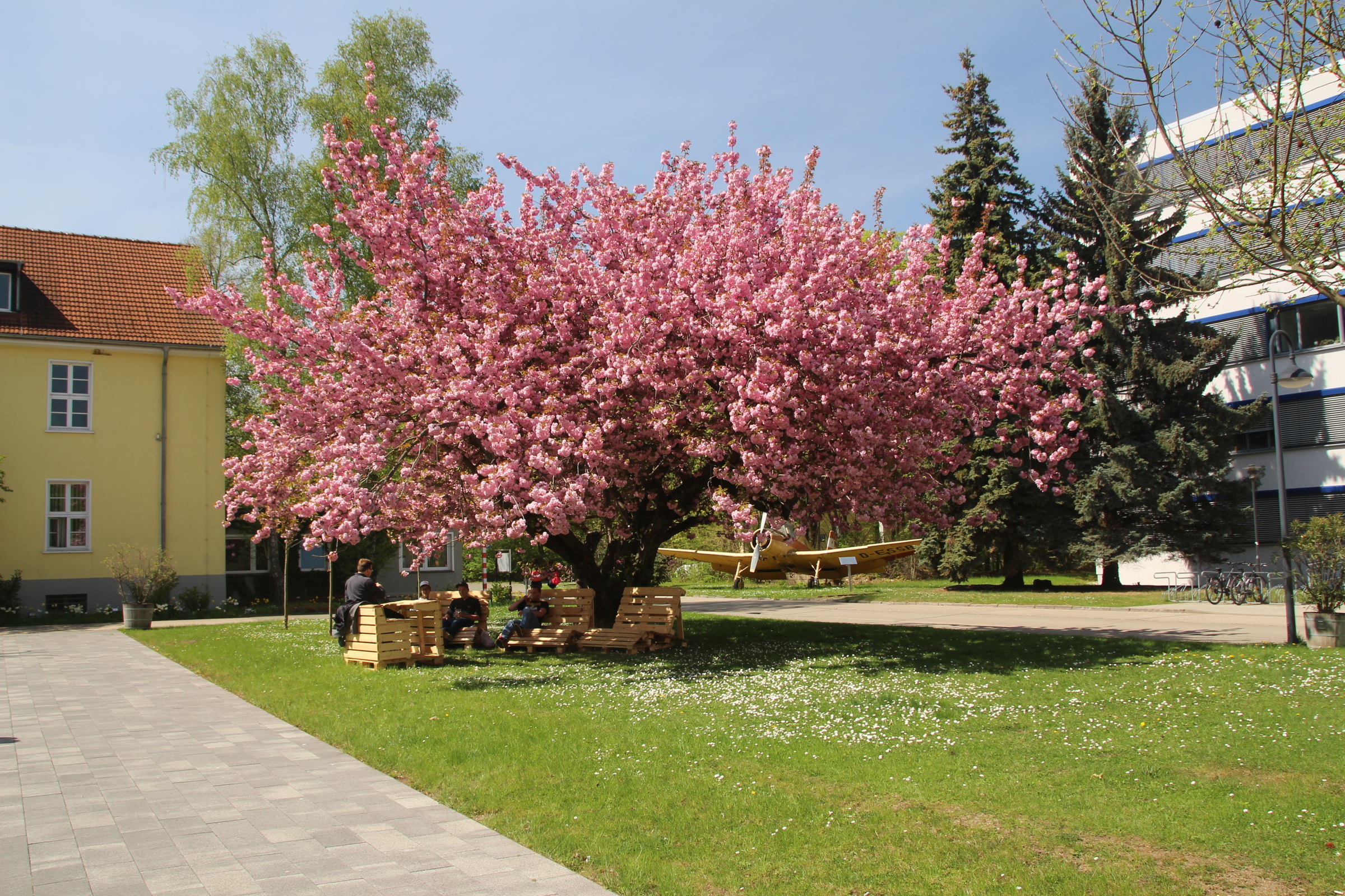 Campus-1.jpg